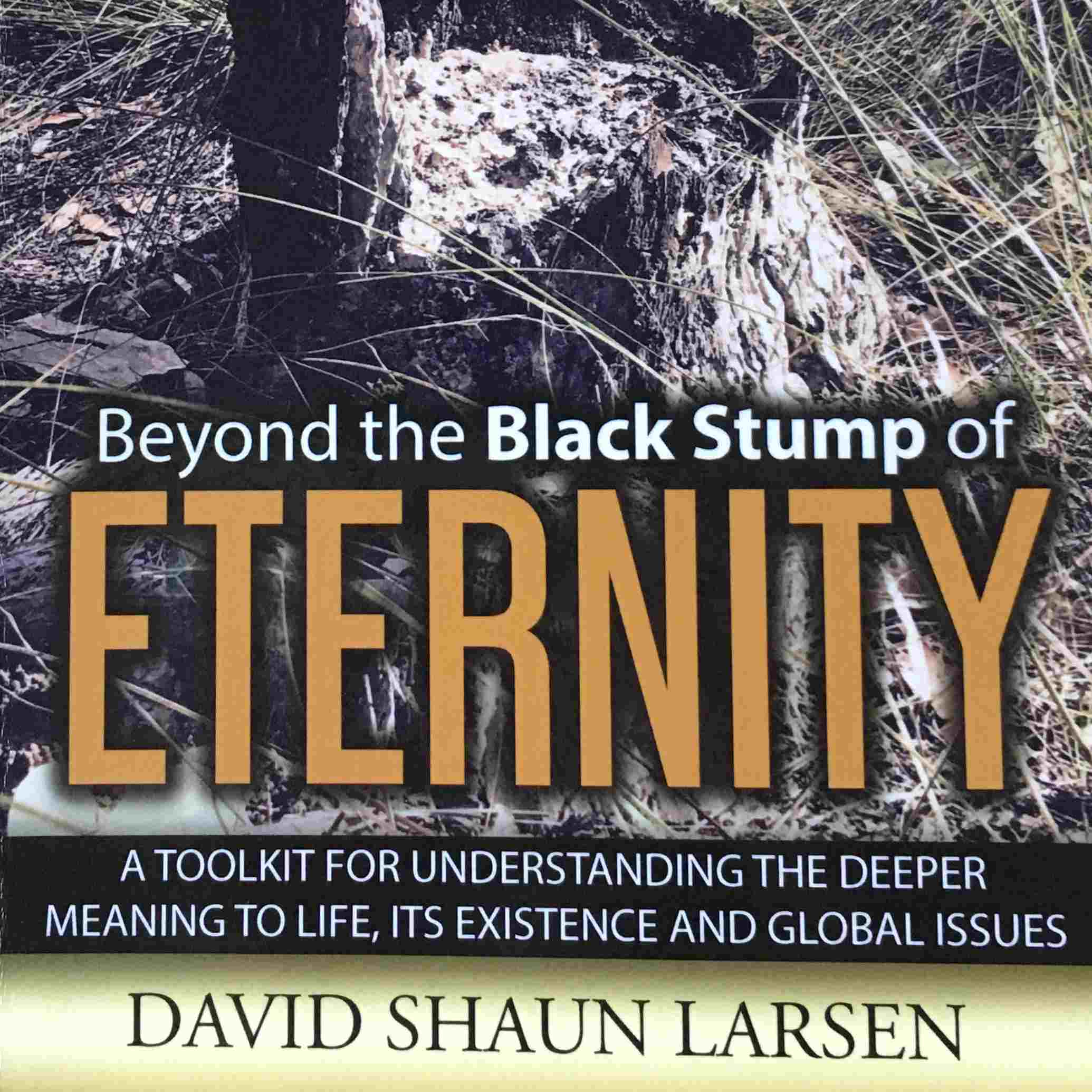 Beyond the Black Stump of Eternity | David Shaun Larsen (book cover)